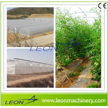 Leon series low-priced quality agricultrual greenhouse for sale